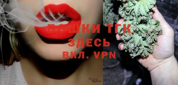 дживик Инта