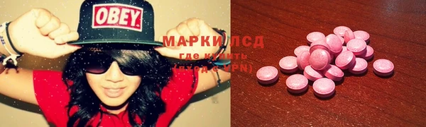 дживик Инта