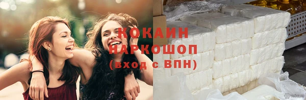 гашик Инсар