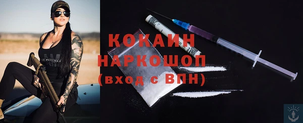 гашик Инсар