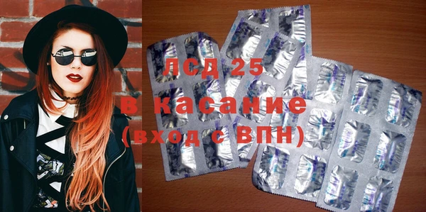 дживик Инта
