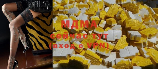 дживик Инта