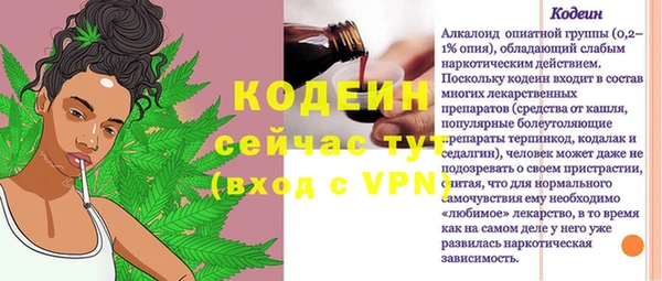 дживик Инта
