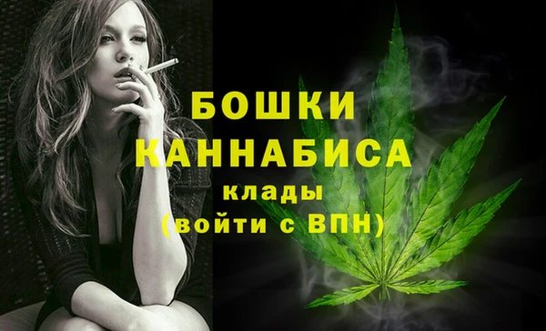 гашик Инсар