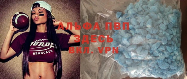 дживик Инта