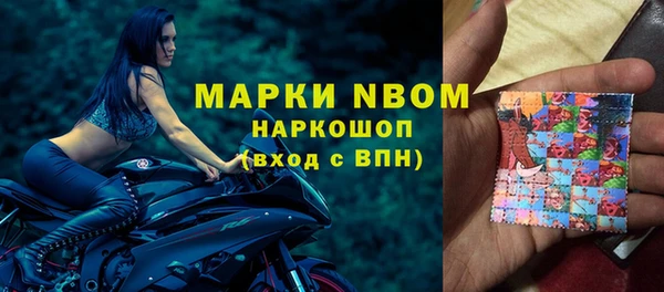 дживик Инта