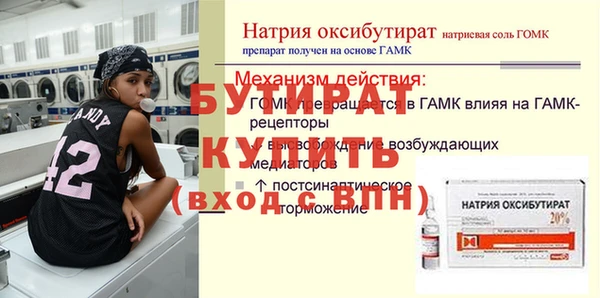 дживик Инта