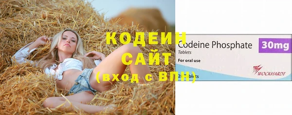 гашик Инсар