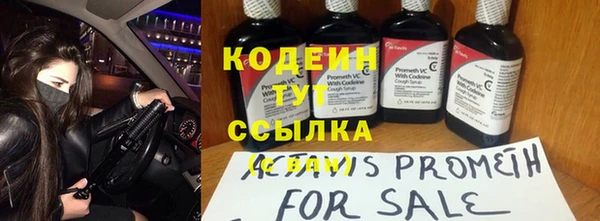 гашик Инсар